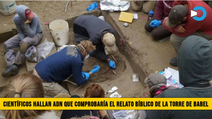 CientÃ­ficos hallan ADN que comprobarÃ­a el relato BÃ­blico de â€œLa Torre de Babelâ€�