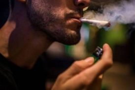 Canadá es el segundo país en legalizar marihuana