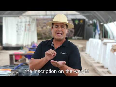 Descubren medida de peso que se ofrecía en Templo de Salomón