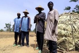 Miles de musulmanes fulani se entregan a Cristo