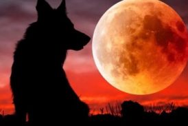 Súper Luna de Sangre de Lobo ocurrirá este mes, ¿Será señal de guerra en Medio Oriente?