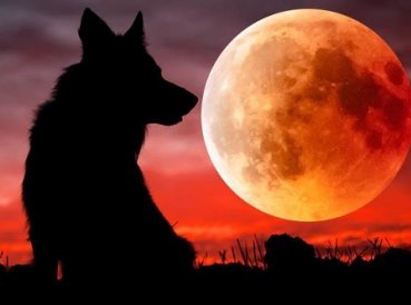 Súper Luna de Sangre de Lobo ocurrirá este mes, ¿Será señal de guerra en Medio Oriente?
