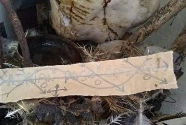 No era pastor el hombre que mató esposa y luego se suicidó